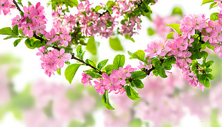 MӘĘ֦_M˾µĻ