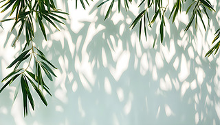 ĚϢڰ׻չ_ȻϳM˸µ