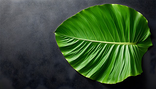 ๦ܺJпgݼ{(chung)ıOӋԪ