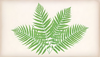 Ϗ(f)űµľGɫؙ~ᎧՇ