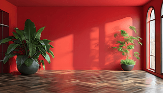t͵ذ屳@@3DȾ