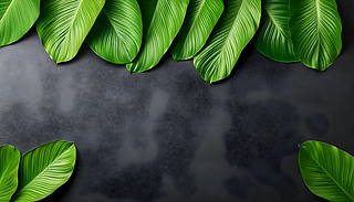 (ji)ʥQ(chng)гď(f)ƿgچ(wn)Ϣ