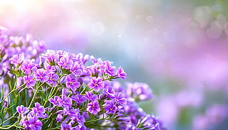 µĴSڜغ͵ĻܱϾ`ŞıO(sh)