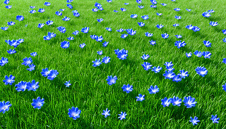 ˵3DD[[ľGгM(mn){(ln)