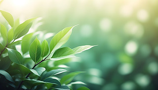 ˵ıгď(f)ƿgݼ{(g)Իı