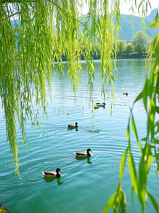 ˮů֪