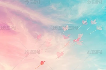 ƈD
