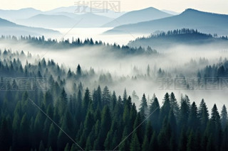 ?k)oɭֳMïܘ(sh)ľwF(chung)˚՝F