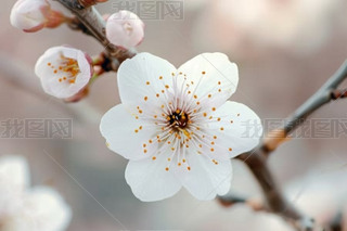 @?zh)،Ԕһ仨λһØ?>
                                                                    </a>
                                <div   id=