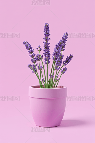 ɫڷۼtɫϵķۼtɫиDƬ
