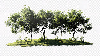 ֲ