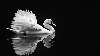 ҹеİZ