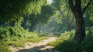 ִ