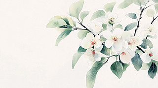ˮʺЦ