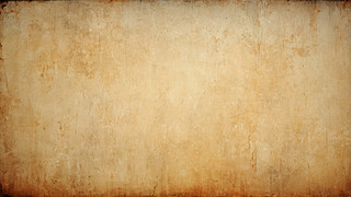 ڼ͹ŸDƬ