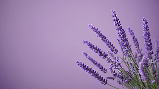 ģ޹²ݱgDƬ