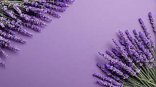 ģ޹²ݱgDƬ