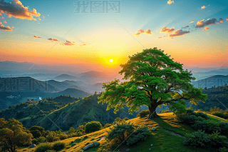 ɽp֮Ӱɫꖹµϣ֮