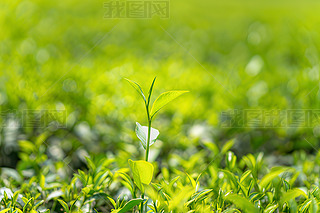 a(chn)轛(jng)^(q)ˈ@|~