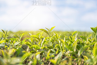 a(chn)轛(jng)(j)^(q)ˈ@|~