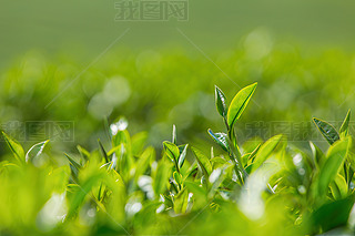 a(chn)轛(jng)(j)^(q)ˈ@|~