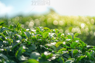 a(chn)轛(jng)(j)^(q)ˈ@|~