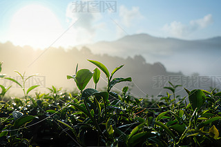 a(chn)轛(jng)^(q)ˈ@|~