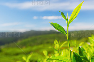 a(chn)轛(jng)^(q)ˈ@|~