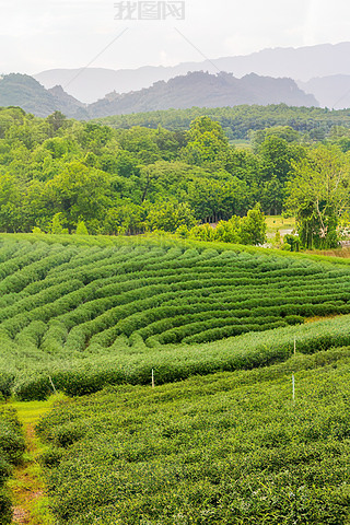 a(chn)轛(jng)(j)^(q)ˈ@|~