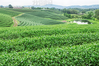 a(chn)轛(jng)(j)^(q)ˈ@|~