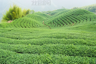 a(chn)轛(jng)(j)^(q)ˈ@|~