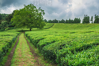 a(chn)轛(jng)(j)^(q)ˈ@|~