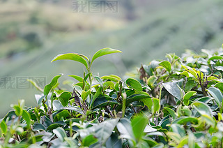 a(chn)轛(jng)(j)^(q)ˈ@|~