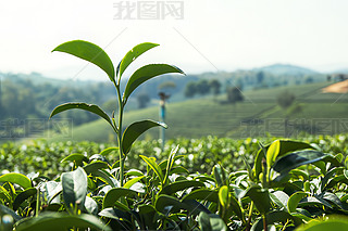 a(chn)轛(jng)^(q)ˈ@|~