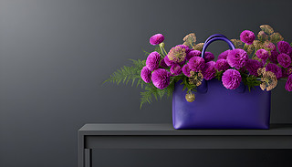 ˵Ļh(hun)ͻչʾl(xing)L(fng)ľڹ