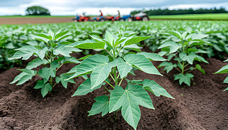 r(nng)(chng)˴ñ[[޻ֲո