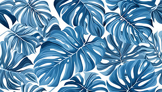 ᎧՇMonsteraؙ~{ɫD