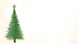 ֹl(xing)ʥQȫľ֦ǳm