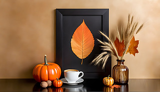 mﾰůFb~ˇg(sh)܇h(hun)