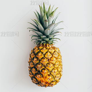 ϟᎧˮ
