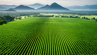 ̩|[[ľGɫш@@@BD