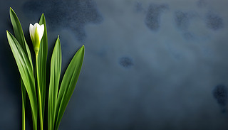 ˮɻʢ_(ki)ˬ{(ln)ɫϞ鶨ıO(sh)Ӌ(j)