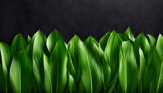 Ȼr(nng)(chng)Sעؼyɫ{(dio)ǳml(xing)