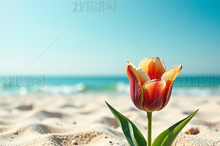 ľ`ɳϵĴՆ