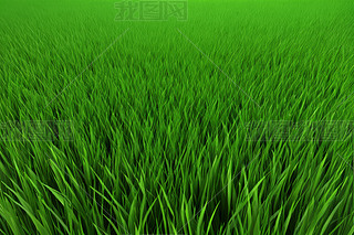 GݵȻCȻľGɫƺ
