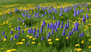 ˮ۵ľ{(ln)ɫԴă(yu)չF(xin)