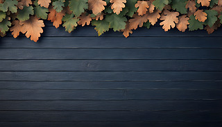 ļɽ¾^еĘԶxıOӋṩ