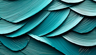 F(xin)ىýe3DyɴuҕX