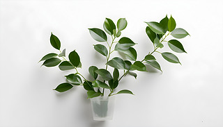 F(xin)wSеĕr(sh)ֲڮ(dng)b