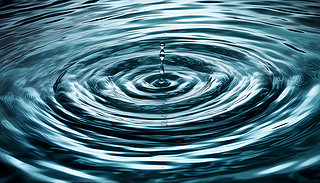 D(zhun)uĄӑB(ti)uʎˮѸ(ni)